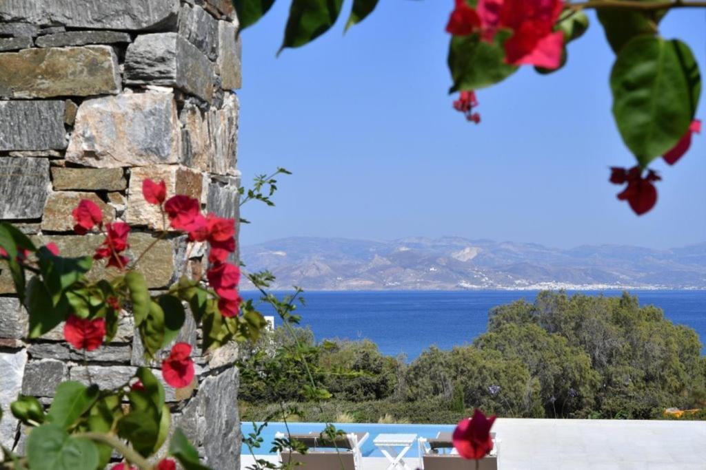 Blue Amaryllis Villas Santa Maria  Exterior photo